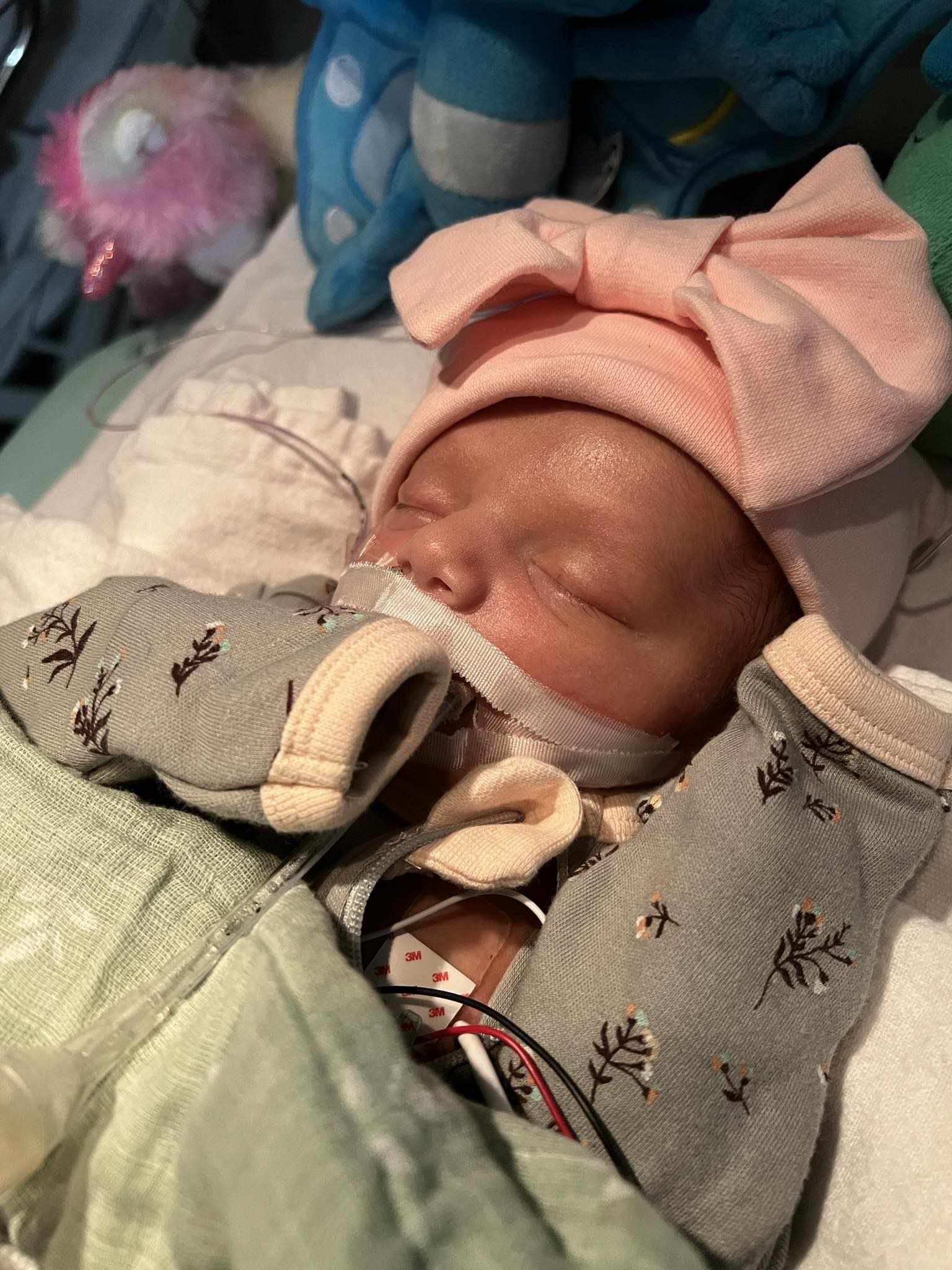 Bébé Julia Lefebvre - 2 juin 2024