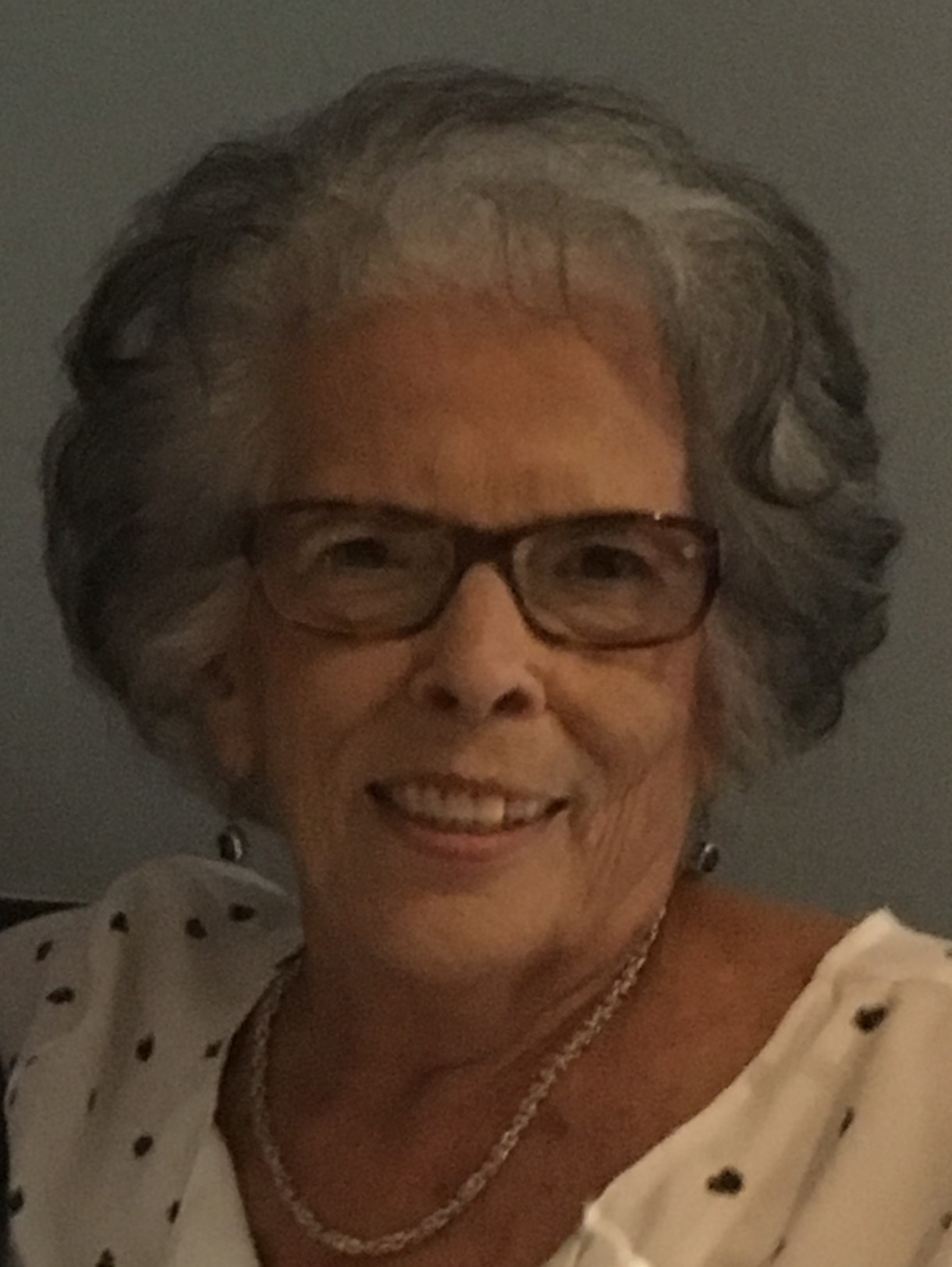 Mme Nicole Lefrançois - 22 février 2025